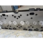 Головка блока цилиндров (ГБЦ) Балканкар Д3900 в сборе с клапанами